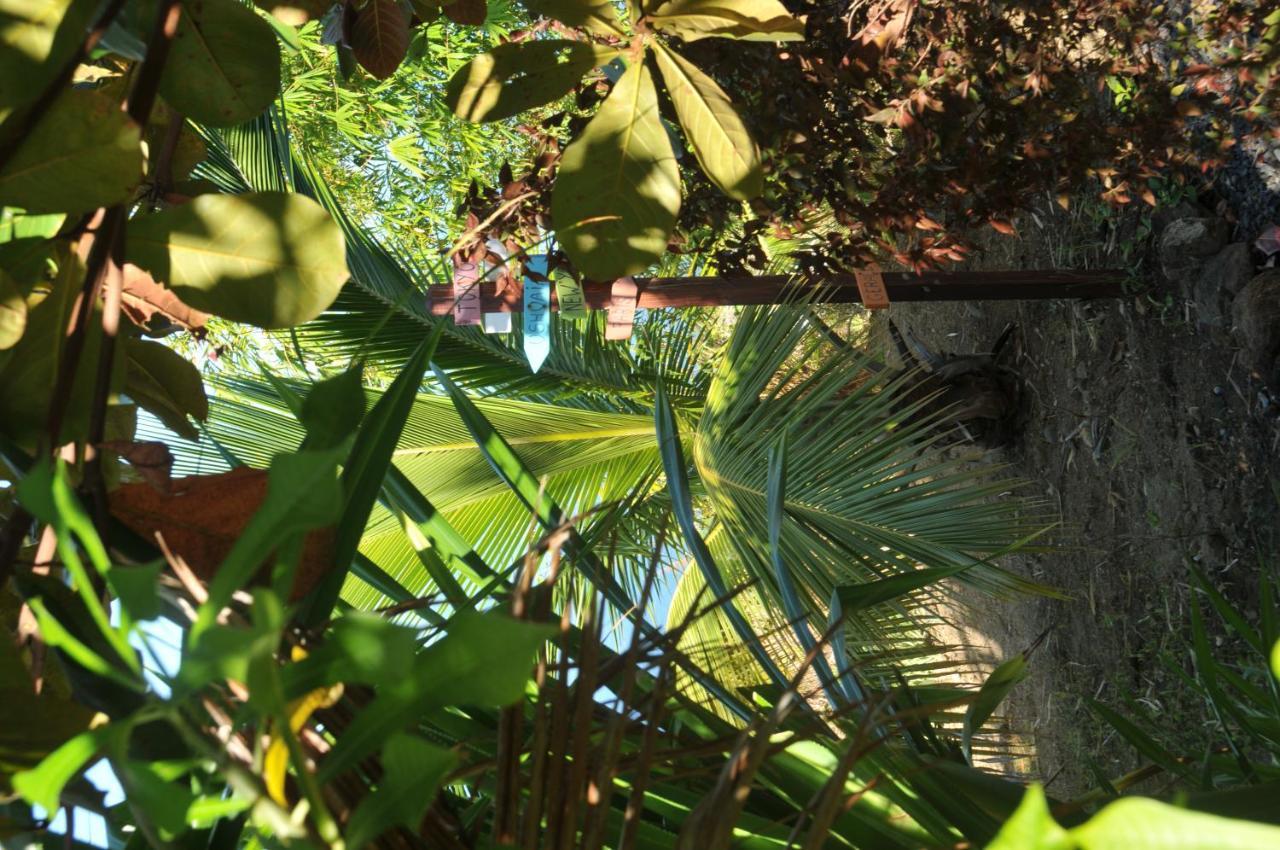 Mango Island Lodges Saint Joseph Bagian luar foto